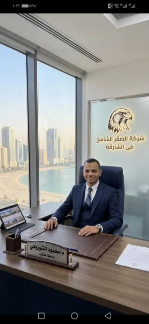 محمود الشوربجي 