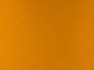 ابحث عن قط للتبني