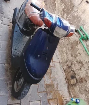 قره الوصف زين