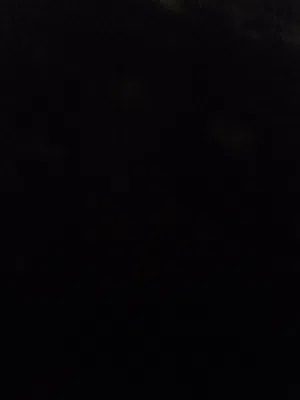 مطلوب طير كوكتيل يكون اليف