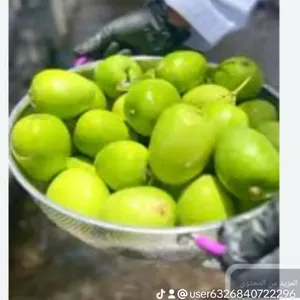 ‏خضار وفواكه‏3