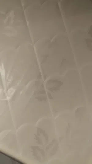 Cot bed (like new)