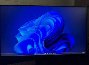 24" Aoc monitors for sale  in Amman