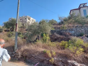 ارض للبيع في اول بلعا - حوض الموارد -كوشان طابو مفروز مساحة 805 متر موقع ممتاز وفرصة استثمارية رائعة