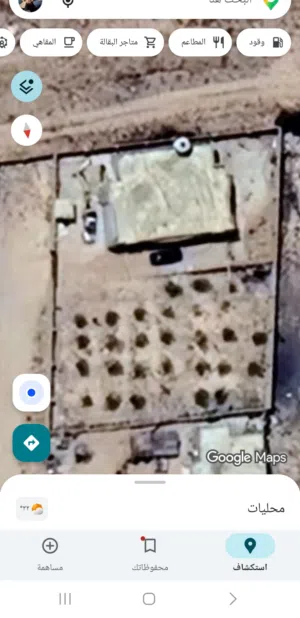 عامر السلاقي