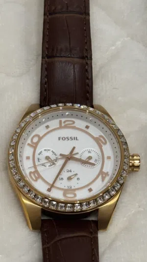 brown Fossil for sale  in Muscat