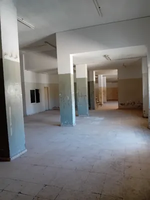 Yearly . 300 m20