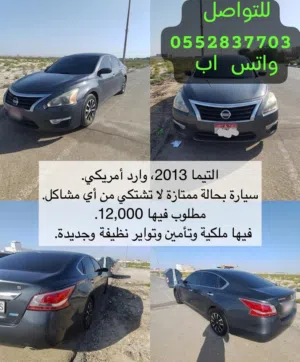 التيميا 2013