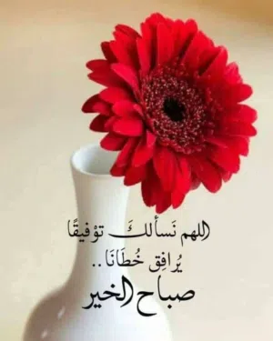 مستودع للايجار شفابدران قرب دوار البحرية