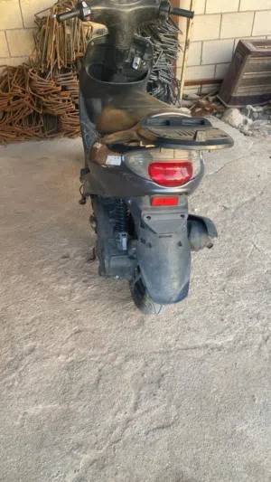 دجاجه اكزز فحل 120