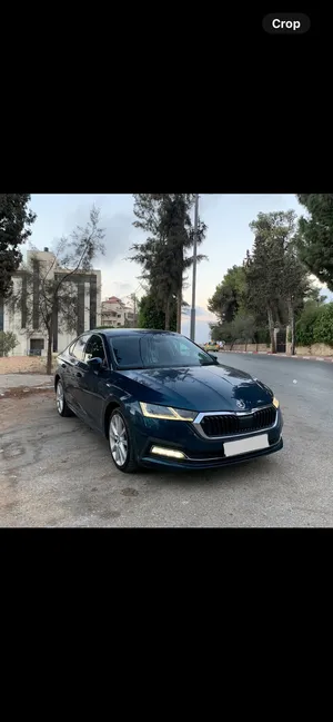 Skoda . Octavia . 2022 . New2