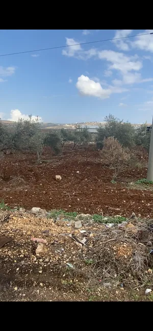 قطعة ارض للبيع ، بالقرب من سوبر ماركت الملاح على الشارع الرئيسي الذي يربط بيت قاد بدير غزالة