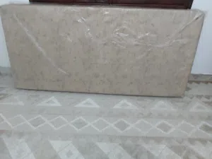 فراشات الربيع للبيع