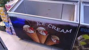 مجمدات ايكور