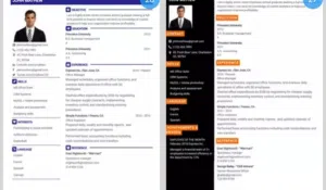 نصمم لك سيىة ذاتية ممتازة cv سي في