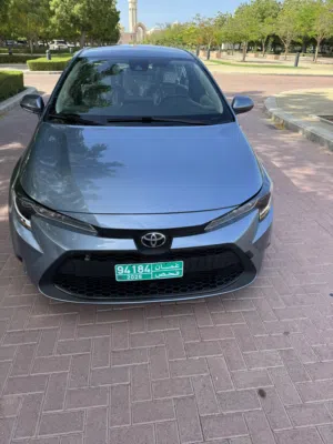 Used Toyota Corolla in Muscat