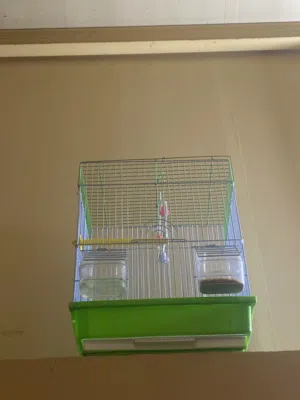 قفص للبيع جديد