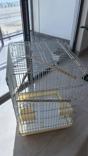 قفص عصفور - birdcage