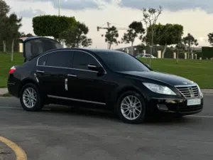 Hyundai Genesis 2010