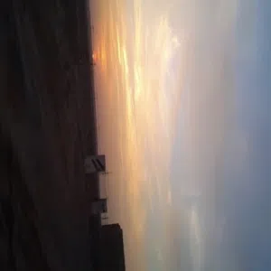 عون ابو زيد 