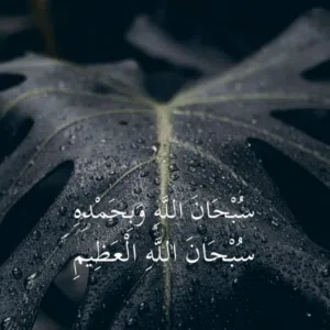 خالد خالد