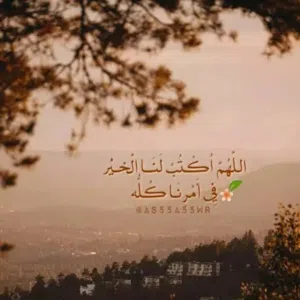 ابو محمد 