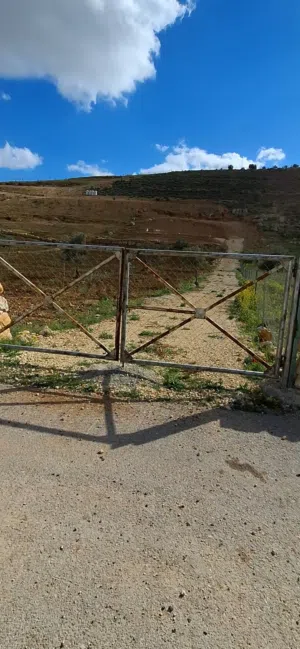 Farm Land for Sale in Jerash Dahl