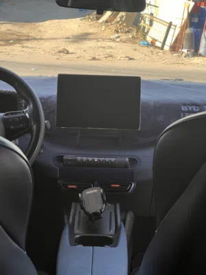Used BYD Seagull in Amman