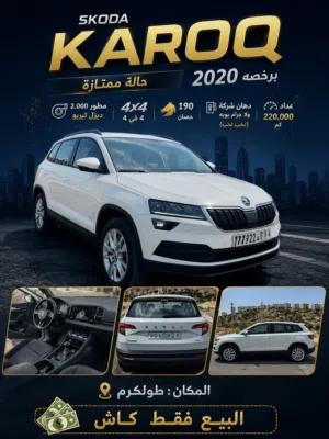 Used Skoda Karoq in Tulkarm