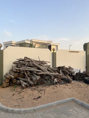 حطب سمر كميه كبيره