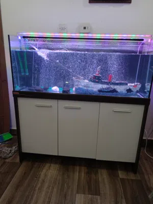 EHEIM fish tank