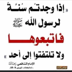 ابراهيم النمصي