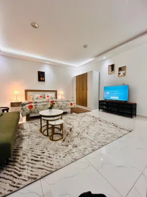 Brand New Furnished Studio