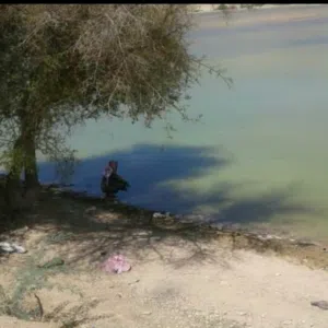 الواثق بالله alsalte