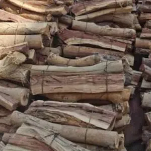 حطب سمر مقطع ومرتب