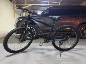 Bicycle for Sale
