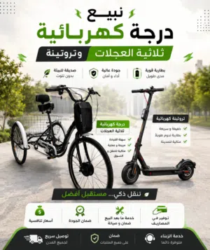 noha el 