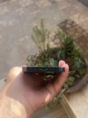 Apple iPhone 13 128 GB in Tripoli