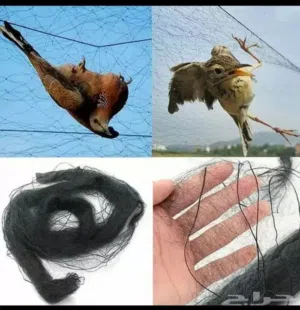 للبيع شبك صيد الطيور و حماية المحاصيل
