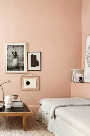 Expert Painter Available in Riyadh