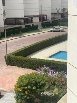 55 m2 1 Bedroom Apartments for Rent in Port Said Ganoub District