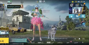 Pubg3