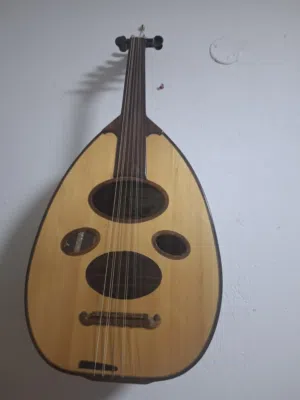 عود مصري 700 شيقل