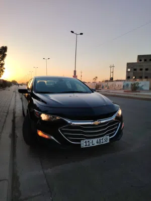 ماليبو 2022