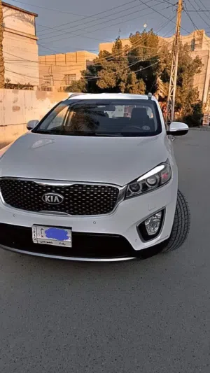 علي السجاد 
