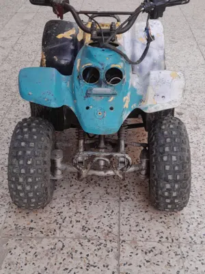 mini  bugyy