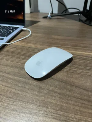 Apple Magic Mouse 2