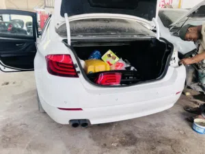 براونطيات F10