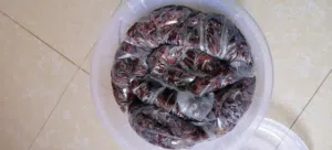 للبيع سح خلاص نظيف