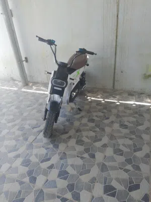 مسعود الغافري